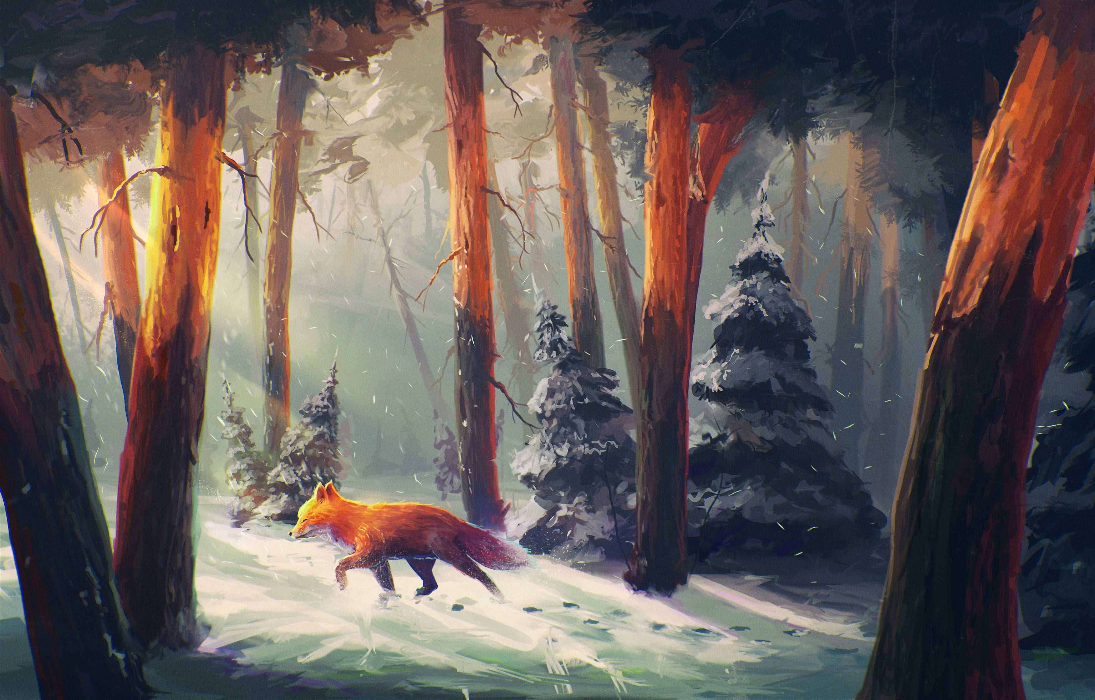 Fox sleeping in snow