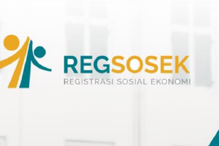 Regsosek Data Verification Project